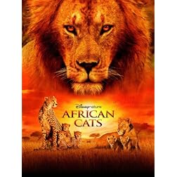 African Cats