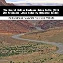 The Secret Online Business Setup Guide (With LCD Projector Lamps Industry Resource Guide)