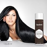 Hair Conditioner for Damaged and Dry Hair - Infused with Argan Oil, Jojoba Oil, Keratin - Color Treated Safe - Conditioning Repair Treatment for Curly, Straight Hair - 10.1 Oz