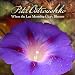 Image of When the Last Morning Glory Blooms