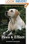 Paws & Effect: The Healing Power of Dogs
