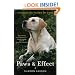 Paws & Effect: The Healing Power of Dogs
