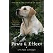 Paws & Effect: The Healing Power of Dogs