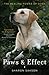 Paws & Effect: The Healing Power of Dogs