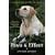 Paws & Effect: The Healing Power of Dogs