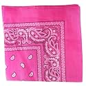 Paisley Cotton Bandanas