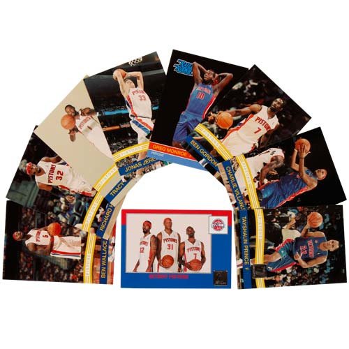 Panini Detroit Pistons 2010/11 Team Set, 14 Rookie Cards