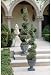 Spiral Topiary Tree Collection - Large