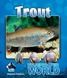 Trout (Underwater World)