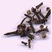 clove essential oil