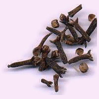 clove essential oil by faerie's finest