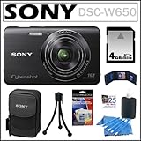 Sony Cyber-shot DSC-W650 16.1 MP Digital Camera with 5x Optical Zoom and 3.0-Inch LCD in Black + 4GB SDHC + Sony Case + Ac...