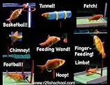 R2 Fish School