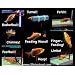 R2 Fish School Complete Fish Training Kit