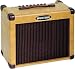 Kustom Sienna 30-Watt Acoustic Guitar Combo Amp