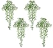 FOUR 39" Sprengeri Grass Hanging Bushes