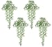 FOUR 39" Sprengeri Grass Hanging Bushes