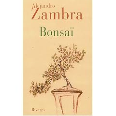 Bonsa�