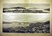 1904 Vladivostok Port-Arthur Tigre Corne D'Or Print