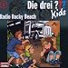 Die drei ??? Kids (H�rspielfolgen 01-25)