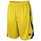 Nike Michigan Wolverines Gold Durasheen Shorts