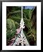 Mustique Grenadines St. Vincent and the Grenadines Framed Art Poster Print, 25x31