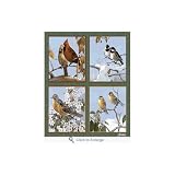 Birds of the Seasons Throw Blanket