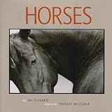 Horses thumbnail