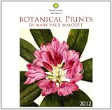 2012 Botanical Prints - Smithsonian Institution Wall calendar
