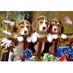 PUZZLE 260 TEILE KINDERPUZZLE 3 DREI KLEINE HUNDE HUND TIER TIERE