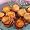 Omaha Steaks 1 (9.5 oz. tray) Jumbo Bacon-Wrapped Scallops