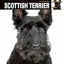 SCOTTISH TERRIER