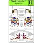 Fu�reflexzonen Therapie - Fu�r�cken und Seiten. Medizinische Taschen-Karte