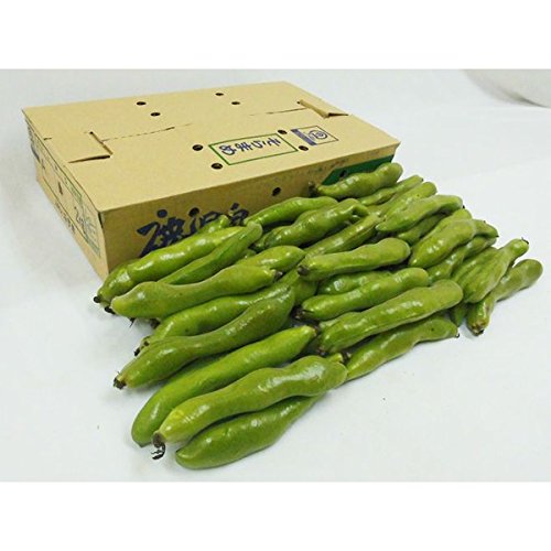 【予約】九州・和歌山産他 ”一寸豆（そら豆）” Mサイズ 約2kg（冷蔵便）（4月以降発送）