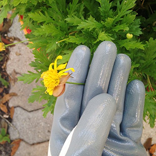 Gardening Gloves Women, Medium,Durable Breathable Nylon with Nitrile