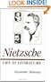 Nietzsche: Life as Literature