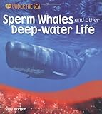 Sperm whales and other deep-water life