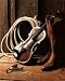 Cowboy Lasso Violin Boots Pearls Spurs Art Print POSTER - 16 x 20