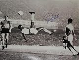 Sports Memorabilia