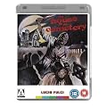 The House by the Cemetery (Arrow Video) [Dual Format Edition - DVD and Blu-Ray] [1981]