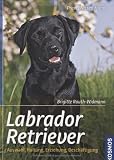 Bild 51d1FvmD3DL. SL160  zum Thema Buch: Labrador Retriever   Auswahl, Haltung, Erziehung, Beschäftigung , Brigitte Rauth Widmann.
