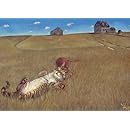 Tree-Free Greetings Fantastic Dreams Birthday Cards, 2 Card Set, Cat, Multicolored (11612)