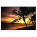 Electronics : Fellowes Natural Collection Mouse Mat Pad Palm Moods Ref 58750
