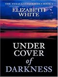 Under Cover Of Darkness (Love Inspired)