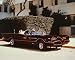 ADAM WEST 8X10 COLOR PHOTO