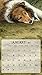 Lang 2017 Love of Dogs Wall Calendar, 13.375 x 24 inches (17991001927)
