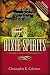 Dixie Spirits: True Tales of the Strange and Supernatural in the South (Second Edition)