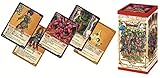 ドラゴンクエスト6 トレーディングカードゲーム ブースターパック 幻の大地編 Amazon.co.jp: ドラゴンクエスト トレーディングカードゲーム