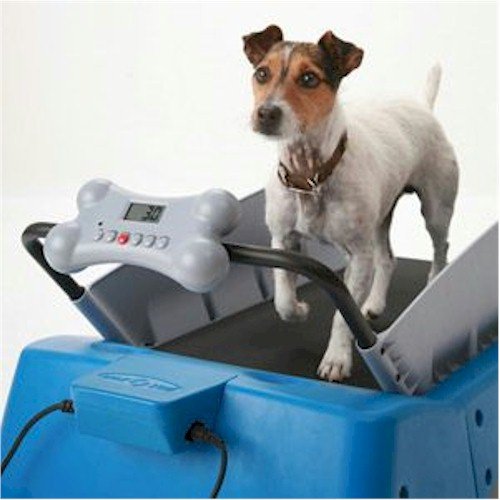 recumbent exercise bike-PetZen DogTread Dog Treadmill, Up to 30-Pounds, Small