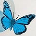 Butterfly 3D Translucent Decoration 15 AQUA Butterflies